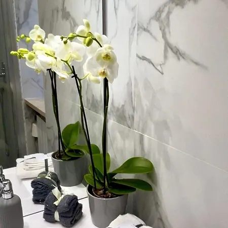 Grande Su Due Livelli Con Terrazza * Rom