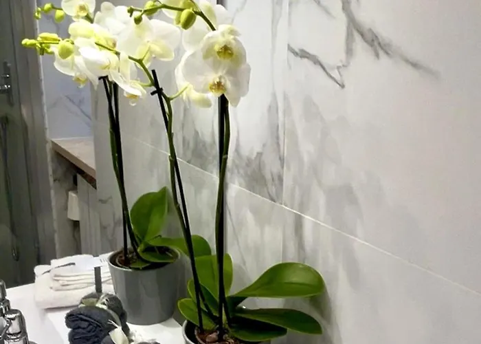 Grande Su Due Livelli Con Terrazza * Rome